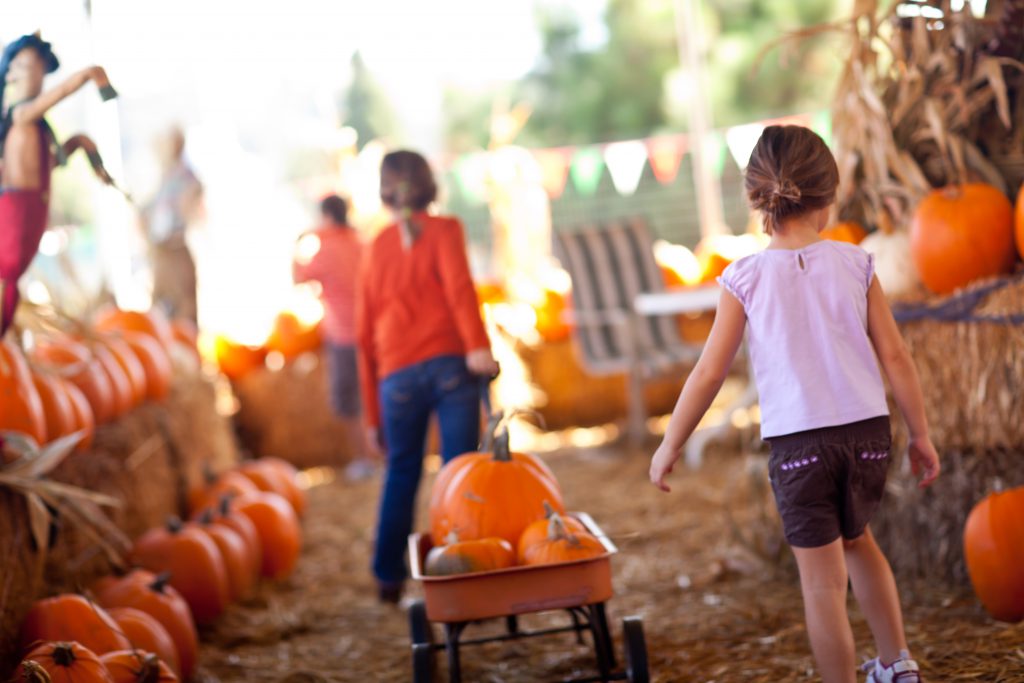 Don't Miss These October Events in North Myrtle Beach