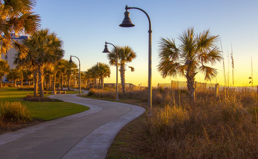 Palmetto trees and sea oats line the boardwalk at sunrise along the coast of the Atlantic Ocean in downtown Myrtle Beach, South Carolina.