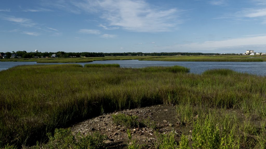 view of the marsh in Cherry Grove South Carolina